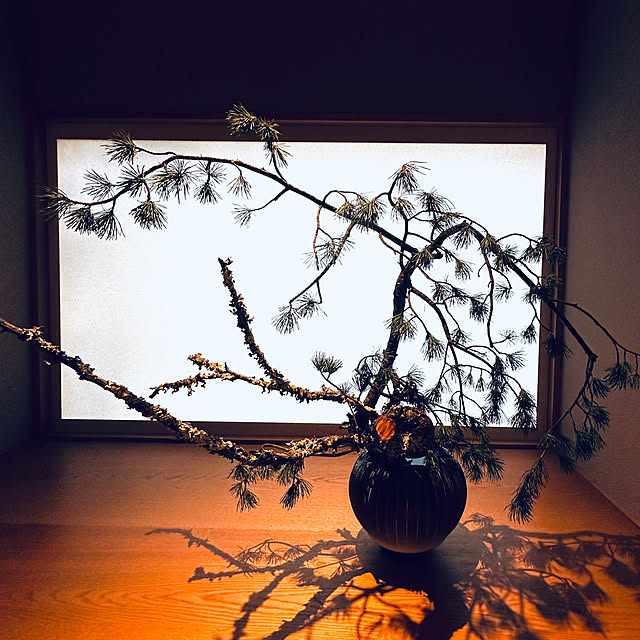 chacoさんの部屋
