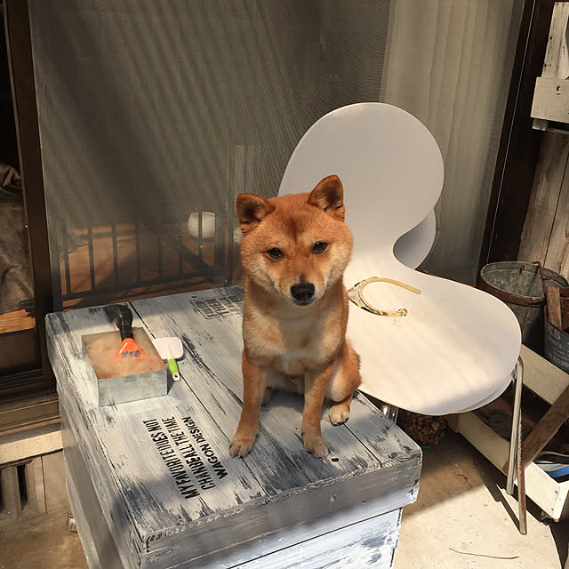 takanaさんの実例写真