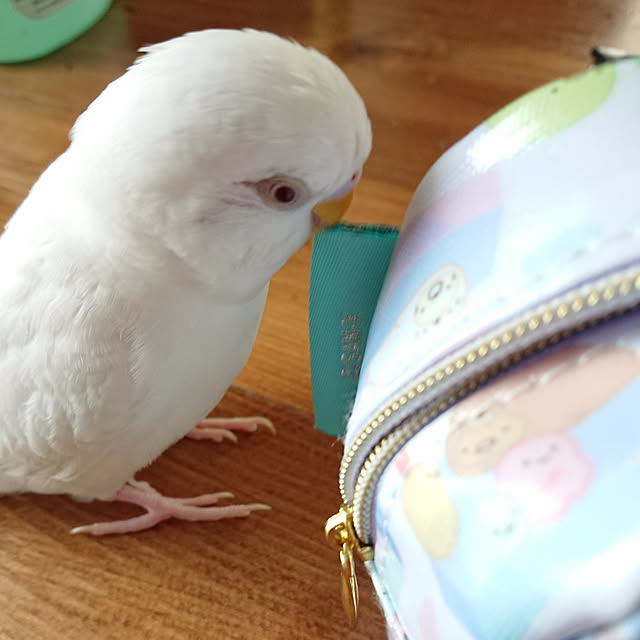 karinさんの実例写真