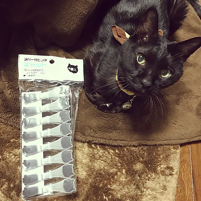 minmiさんの実例写真
