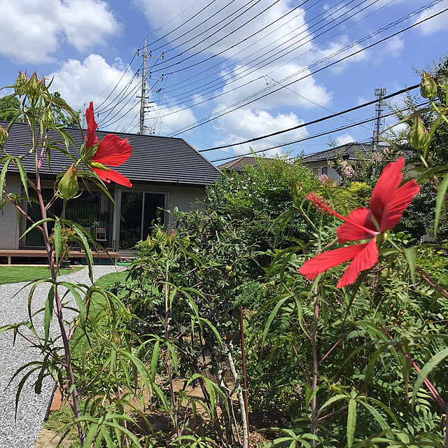 houenさんの部屋