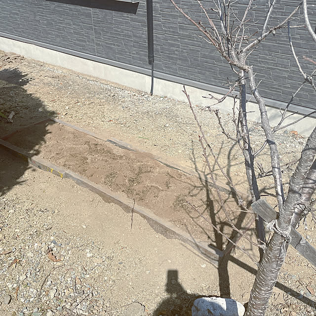 mamさんの実例写真