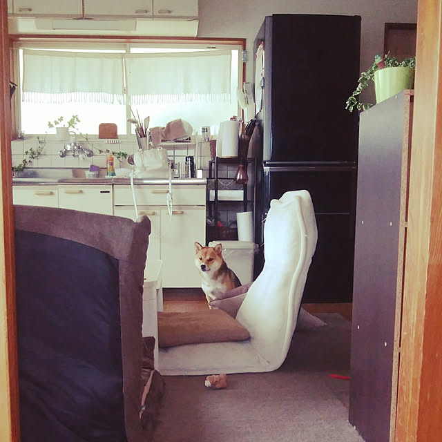 mameさんの実例写真