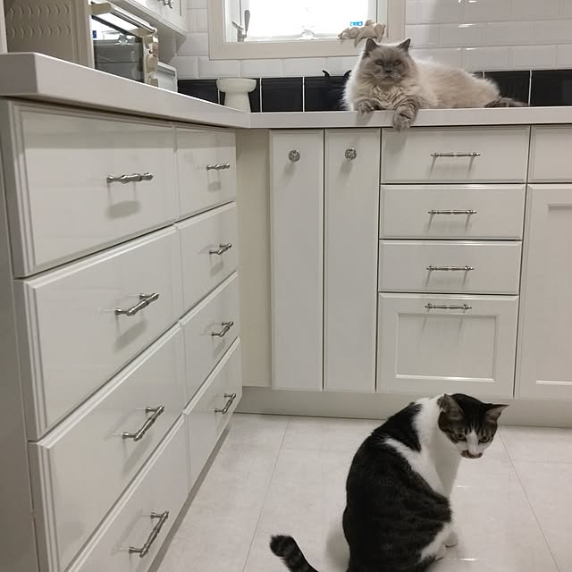 yuchiさんの実例写真