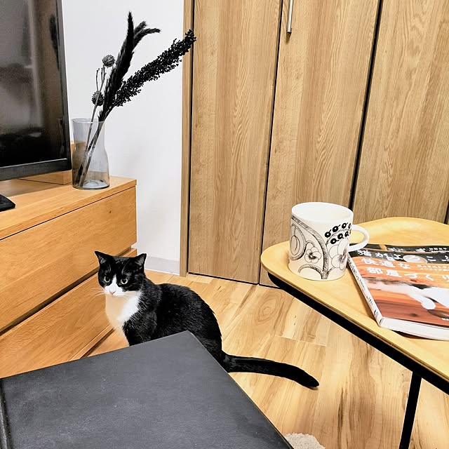 hihaさんの部屋