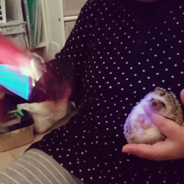 kuruさんの実例写真