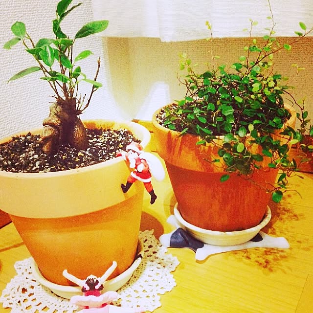 yumiさんの実例写真