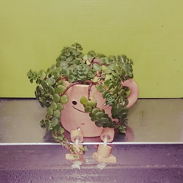 kamocoさんの実例写真