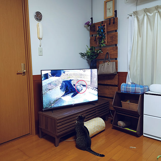 nachiさんの実例写真