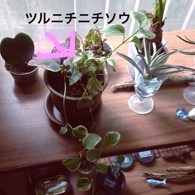 mikyuさんの実例写真