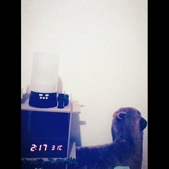 mymさんの実例写真