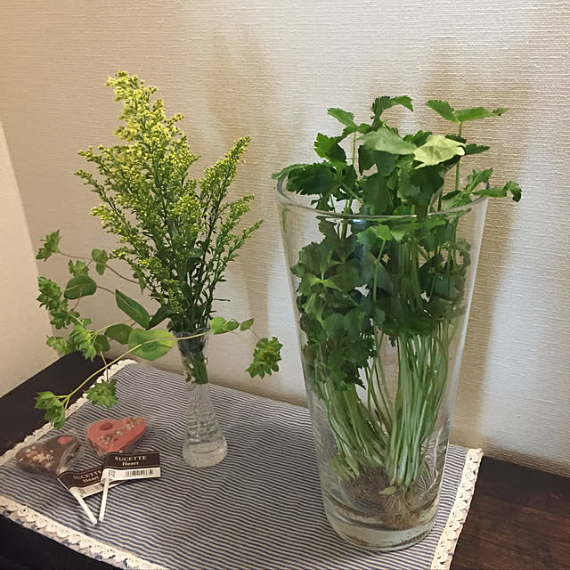 guiさんの実例写真