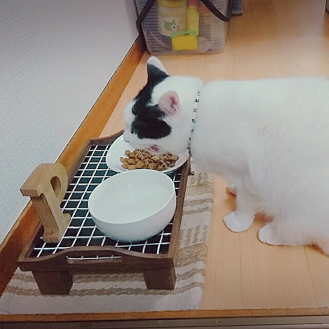 Maya.さんの実例写真