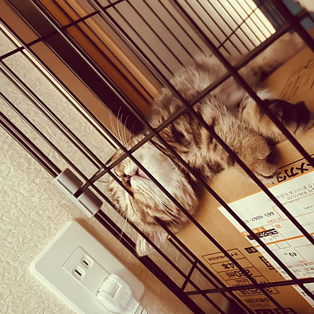 chiiさんの部屋