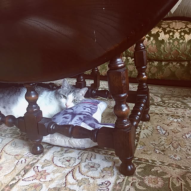 emmyyさんの実例写真