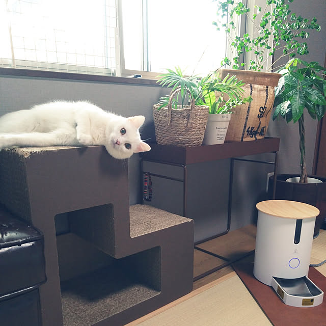 MIPORINNさんの実例写真