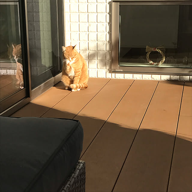 sayapiさんの実例写真