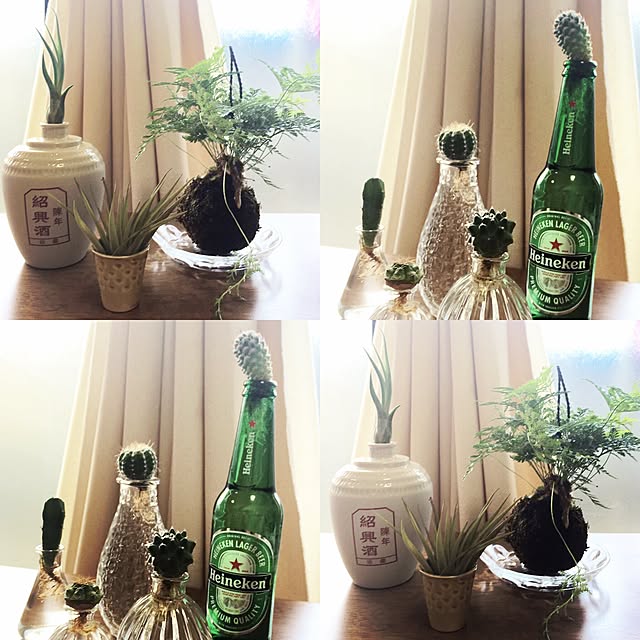 tomousa33さんの実例写真