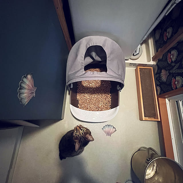 Mさんの実例写真