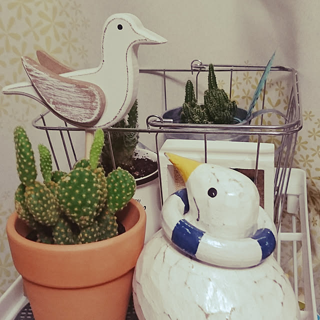kogumaさんの実例写真