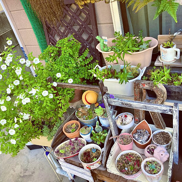 takakoさんの部屋