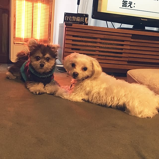 tomさんの実例写真