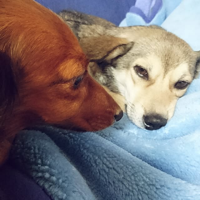 andさんの実例写真