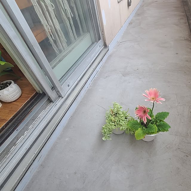 monnさんの実例写真