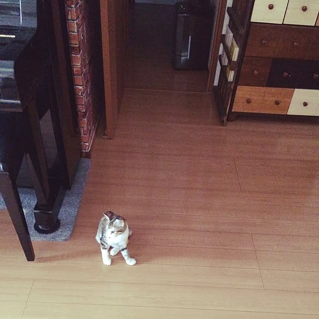 Mayさんの実例写真