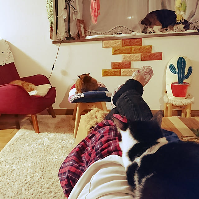 uchizukonyanさんの実例写真