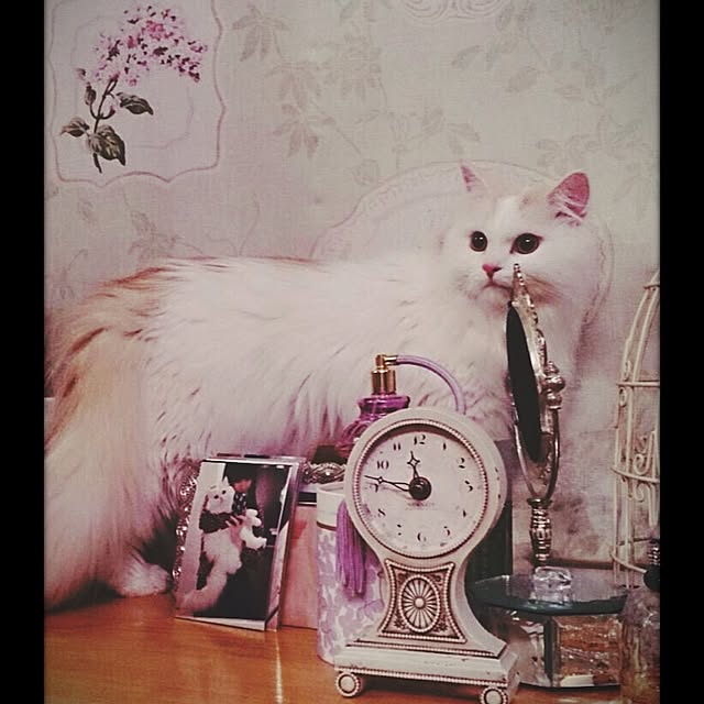 macaron_gallさんの実例写真