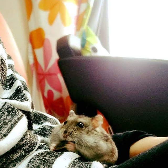 Samさんの実例写真