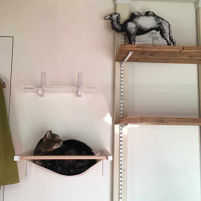 mikomaruさんの実例写真