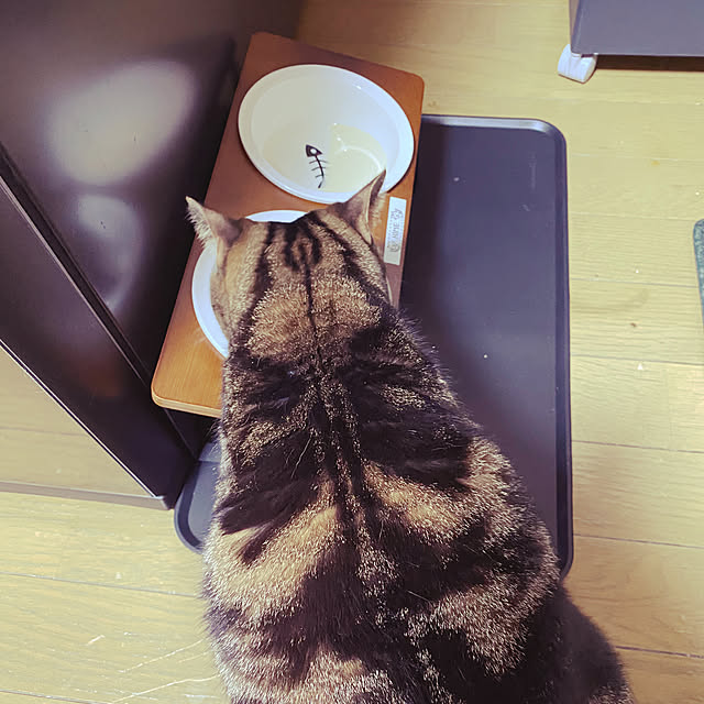 YUKIKOさんの実例写真