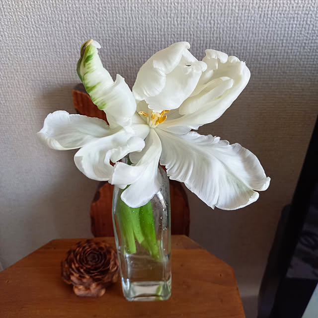 hironekoさんの実例写真