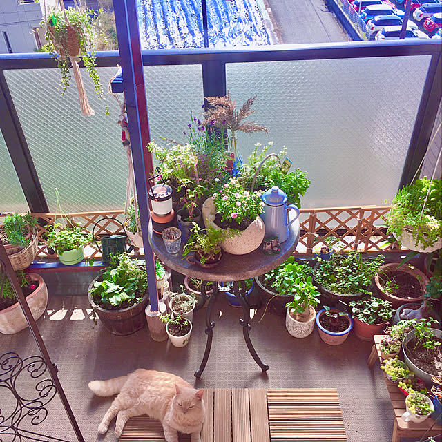 naokoさんの実例写真