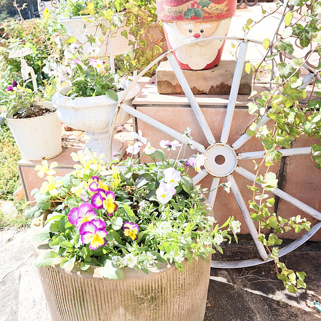 S.homeさんの実例写真