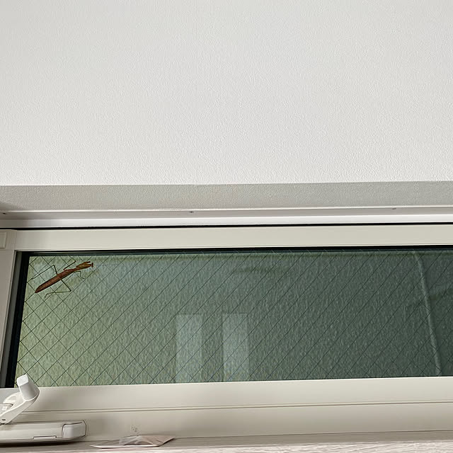 ayashigeさんの部屋