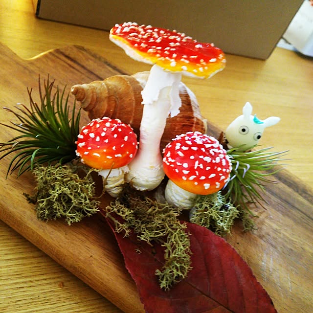 mogu0418さんの実例写真