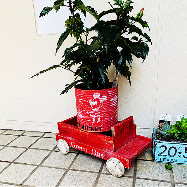 雑貨/100均/DIY/カフェ風/多肉植物...などのインテリア実例 - 2020-05-21 13:33:10