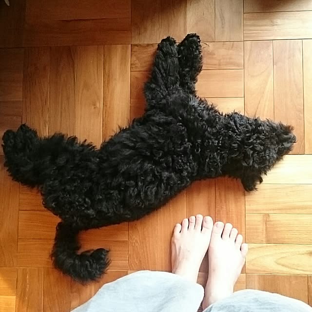mignonさんの実例写真