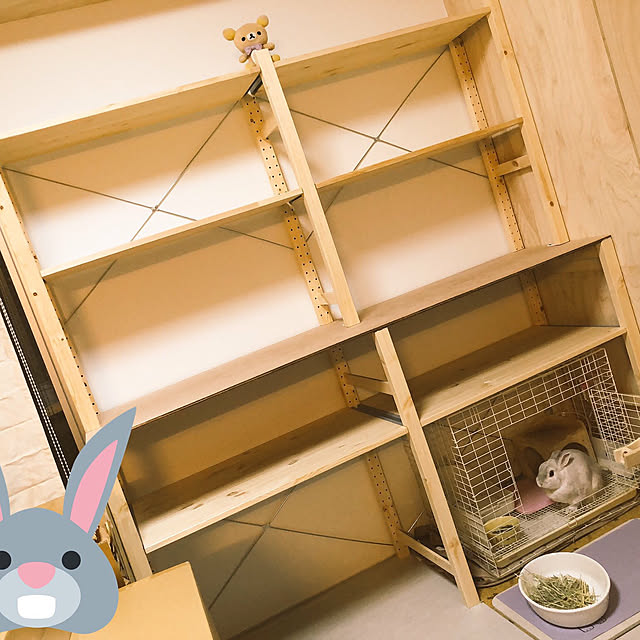 pucchiさんの実例写真