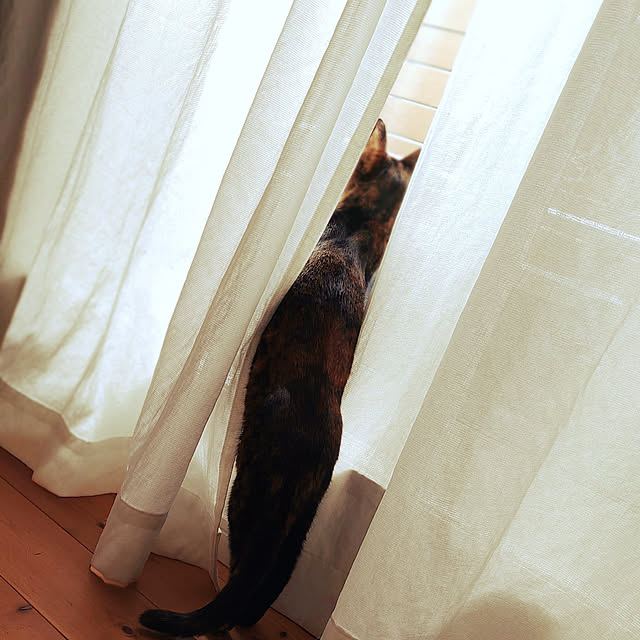 wahahaさんの実例写真