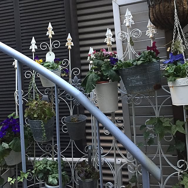 greenroseさんの実例写真