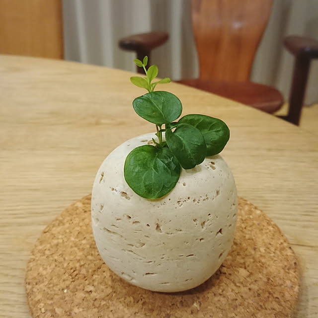 satoさんの実例写真