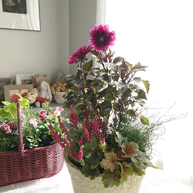 mayuroseさんの実例写真