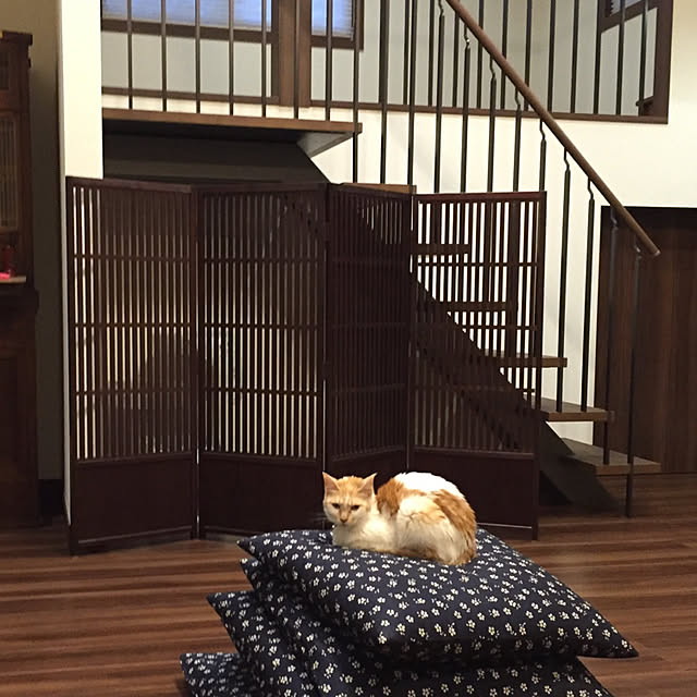 yokopiさんの実例写真
