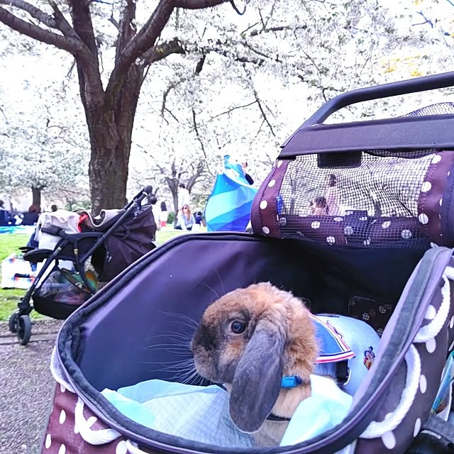 mariaさんの部屋