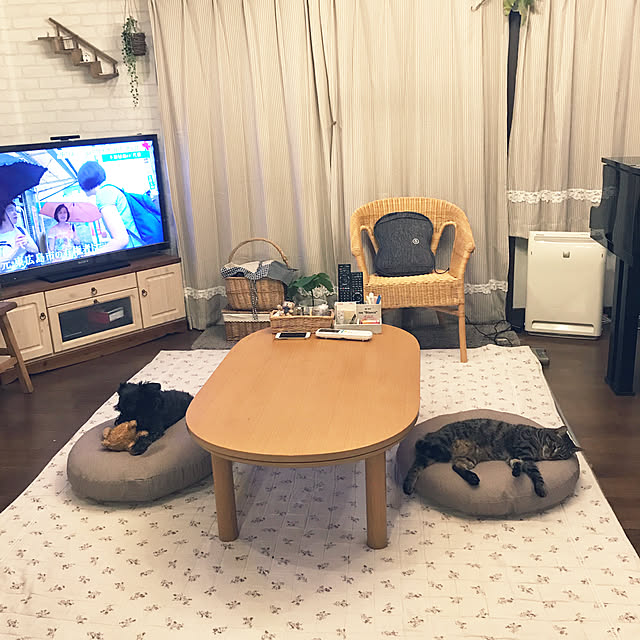 mayuさんの実例写真