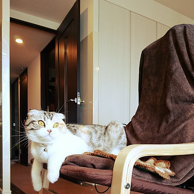 Sachiさんの実例写真